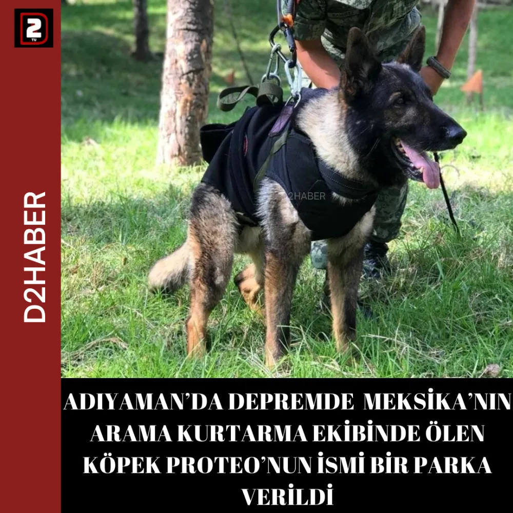 ADIYAMAN’DA DEPREMDE  MEKSİKA’NIN ARAMA KURTARMA EKİBİNDE ÖLEN KÖPEK PROTEO’NUN İSMİ BİR PARKA VERİLDİ