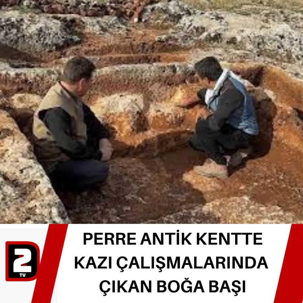 PERRE ANTİK KENTTE KAZI ÇALIŞMALARINDA  ÇIKAN BOĞA BAŞI