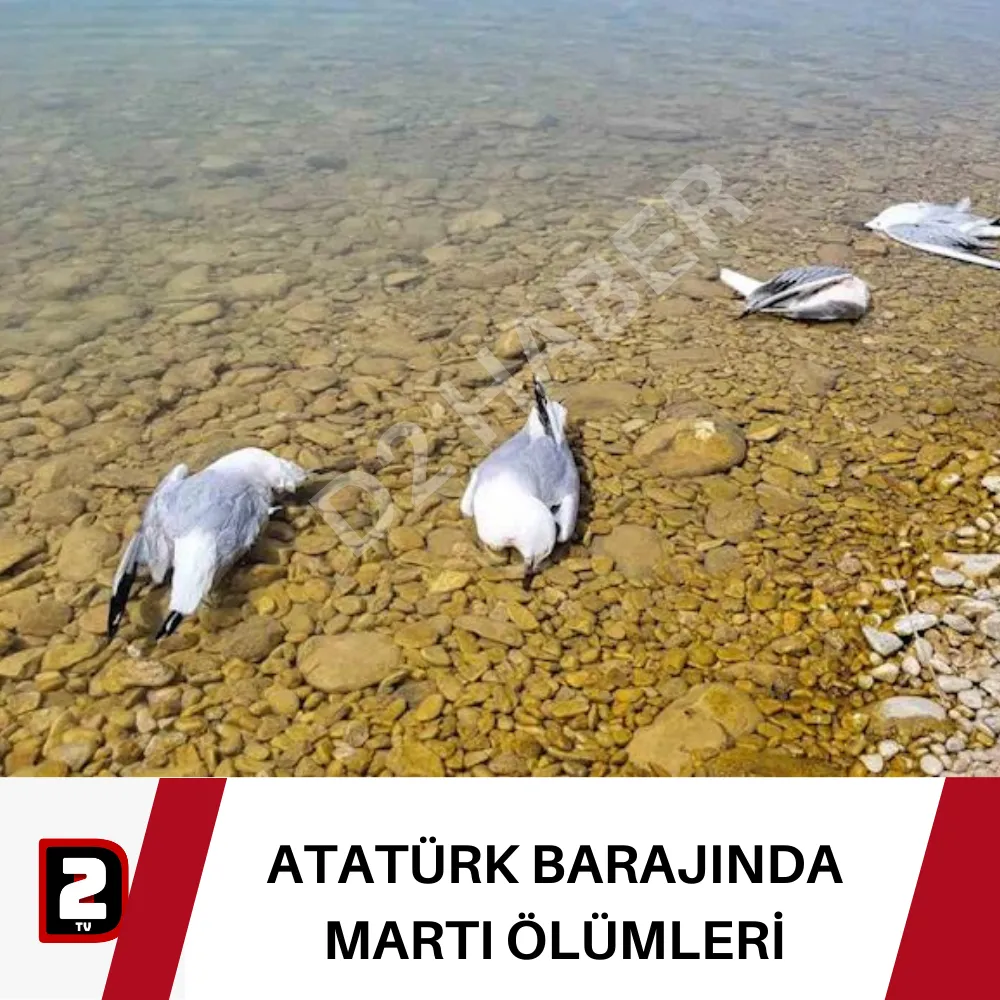 ATATÜRK BARAJINDA MARTI ÖLÜMLERİ