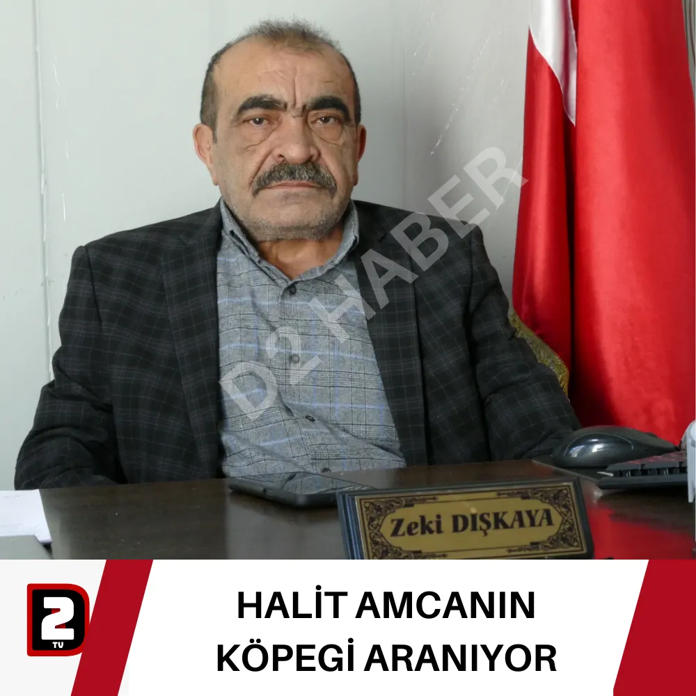 HALİT AMCANIN KÖPEGİ ARANIYOR