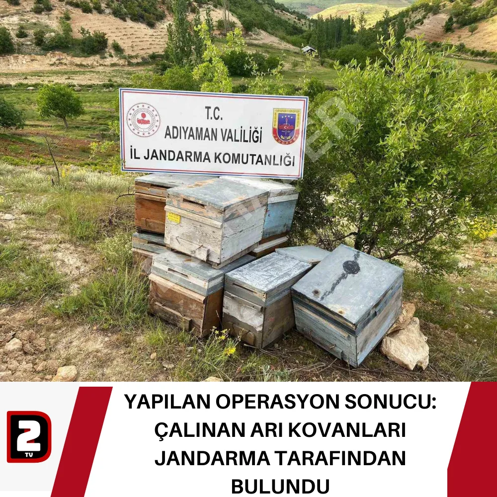 YAPILAN OPERASYON SONUCU: ÇALINAN ARI KOVANLARI JANDARMA TARAFINDAN BULUNDU