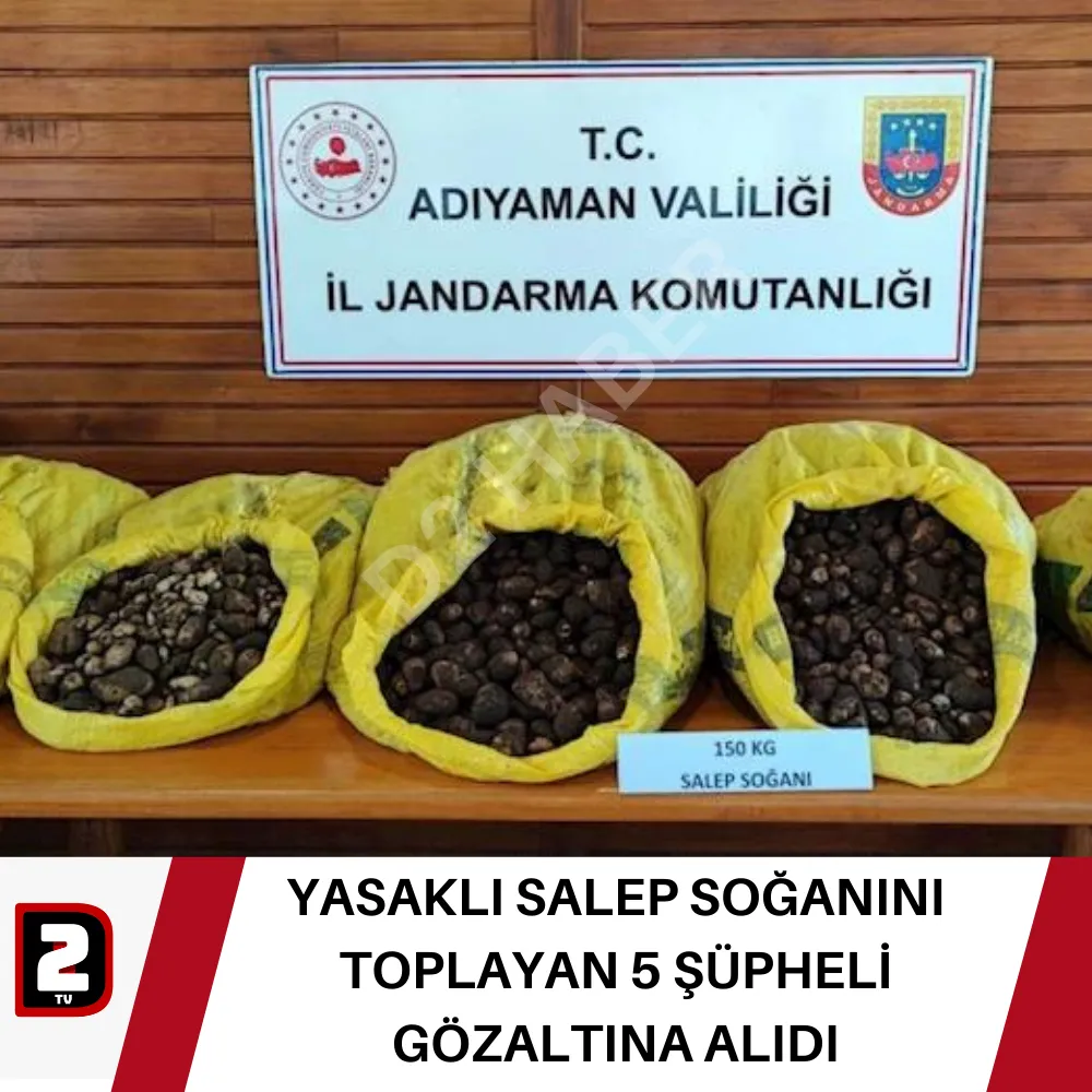 YASAKLI SALEP SOĞANINI TOPLAYAN 5 ŞÜPHELİ GÖZALTINA ALIDI