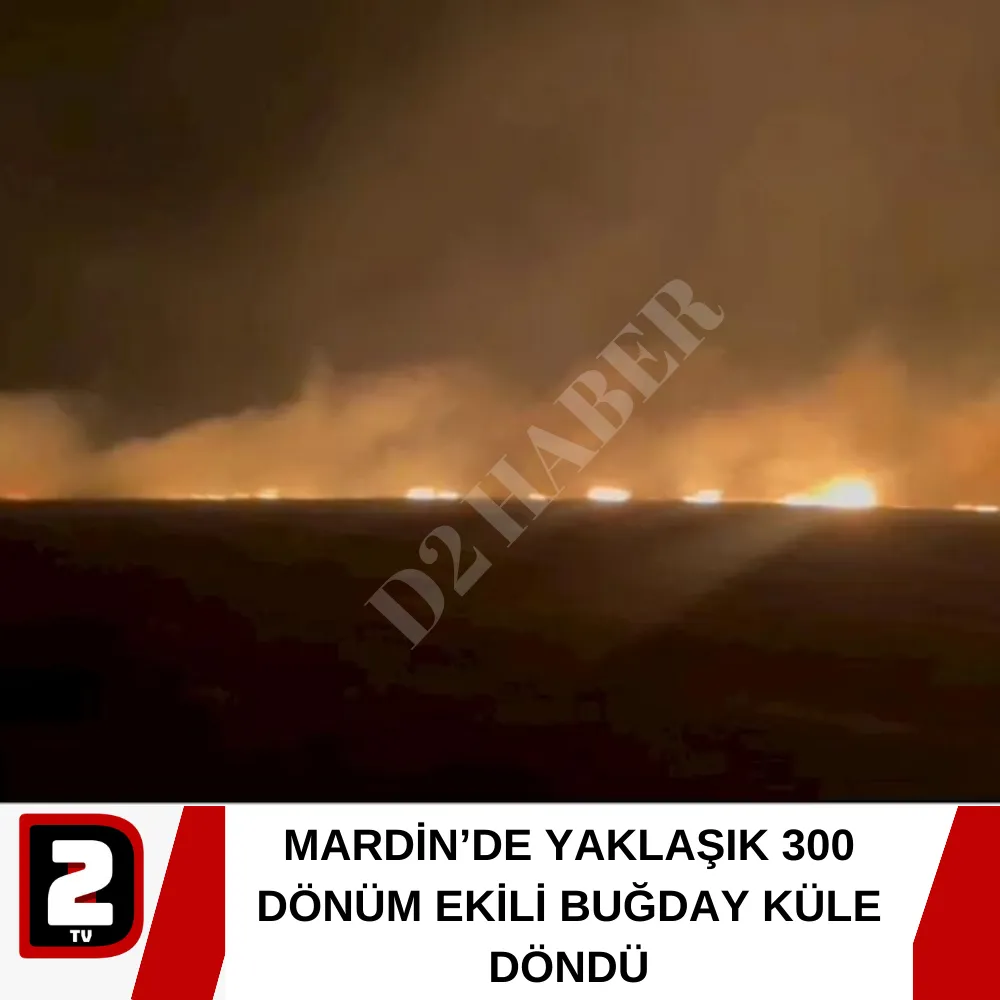 MARDİN’DE YAKLAŞIK 300 DÖNÜM EKİLİ BUĞDAY KÜLE DÖNDÜ