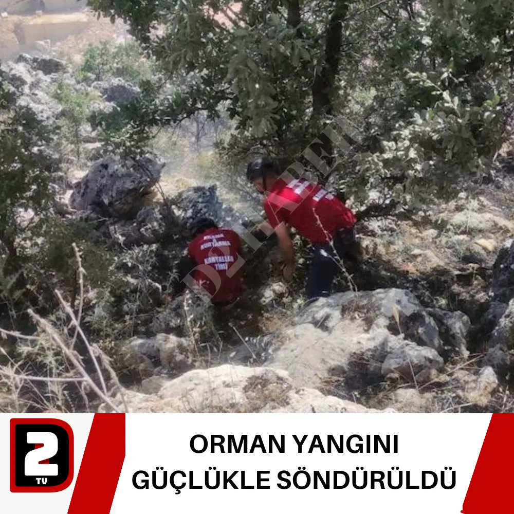 ORMAN YANGINI GÜÇLÜKLE SÖNDÜRÜLDÜ