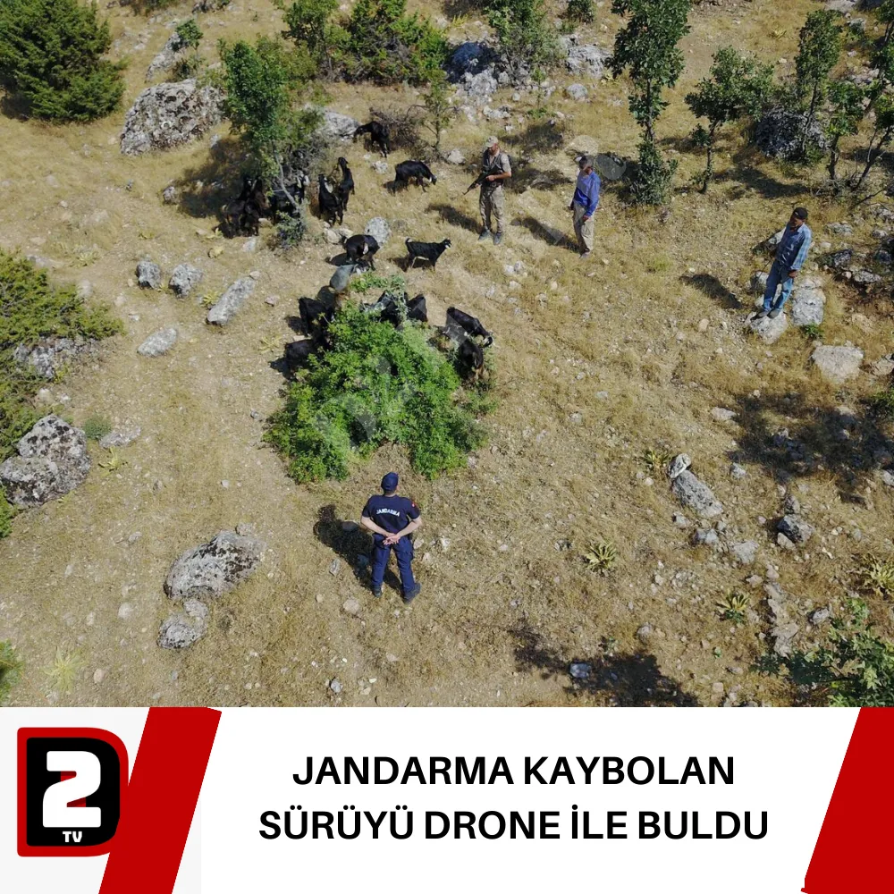 JANDARMA KAYBOLAN SÜRÜYÜ DRONE İLE BULDU