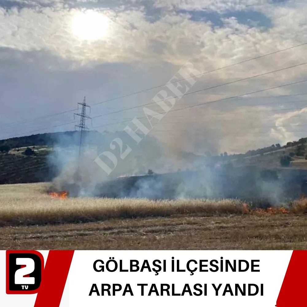 GÖLBAŞI İLÇESİNDE ARPA TARLASI YANDI