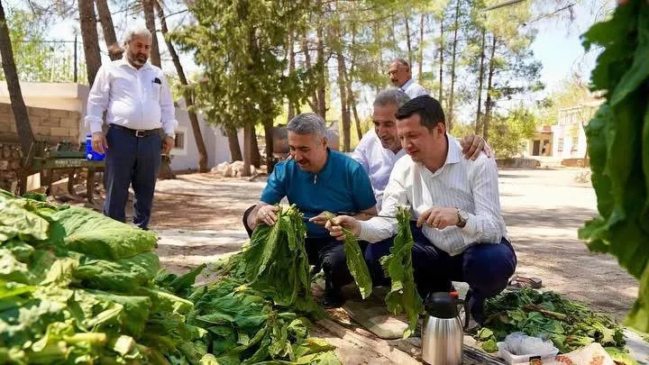 AK Parti Teşkilat Başkan Yardımcısı ve Adıyaman Milletvekili Av. Mustafa ALKAYIŞ’tan Tütün Üreticilerine Müjde