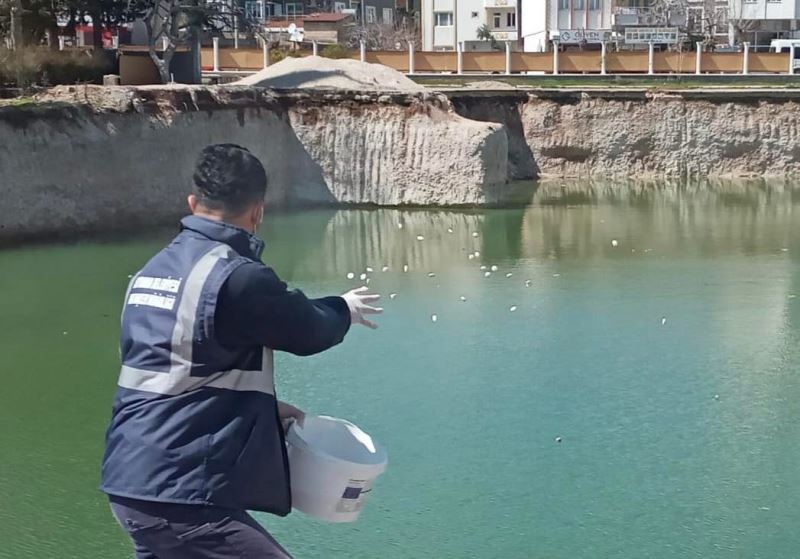 Adıyaman Belediyesi Larva İlaçlama Çalışmalarına Devam Ediyor