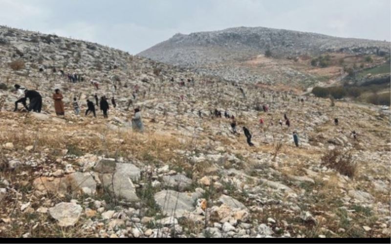 Koçtepe köyü sakinleri, 3 yıldan beridir köylerini ağaçlandırmak için seferberlik başlattı. Şimdiye kadar yaklaşık olarak 15 bin ağaç diken köy sakinleri, köylerini ağaçlandırmak amacıyla bugün topladıkları zeytin, meşe, çam ve 