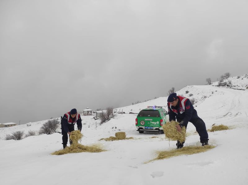 Daha huzurlu bir Adıyaman için Jandarma görevinin başında.